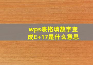 wps表格填数字变成E+17是什么意思