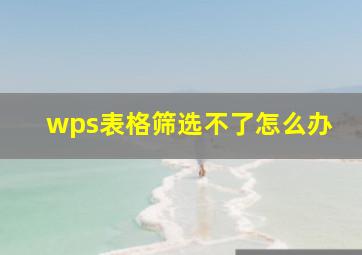 wps表格筛选不了怎么办