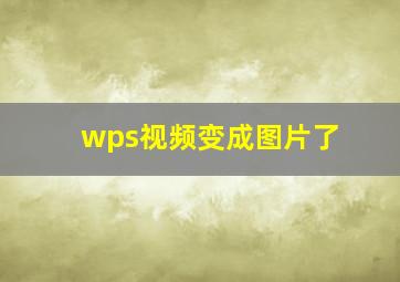 wps视频变成图片了