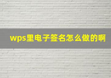 wps里电子签名怎么做的啊