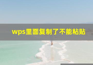 wps里面复制了不能粘贴