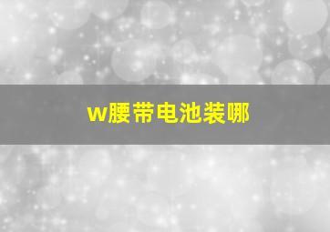 w腰带电池装哪