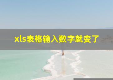 xls表格输入数字就变了