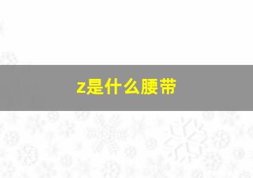 z是什么腰带