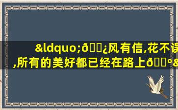“🌿风有信,花不误,所有的美好都已经在路上🌺”