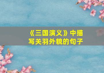 《三国演义》中描写关羽外貌的句子