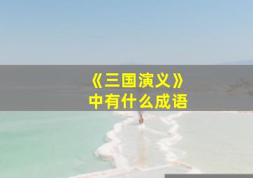 《三国演义》中有什么成语