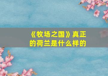 《牧场之国》真正的荷兰是什么样的