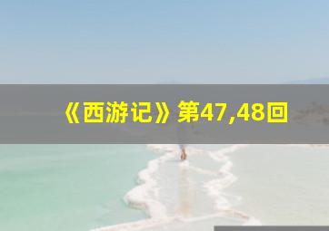 《西游记》第47,48回