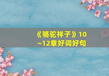 《骆驼祥子》10~12章好词好句