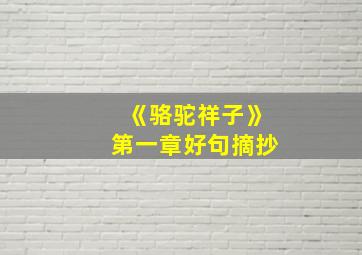 《骆驼祥子》第一章好句摘抄