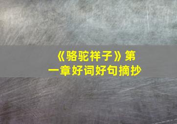 《骆驼祥子》第一章好词好句摘抄