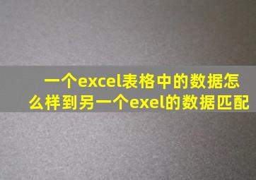 一个excel表格中的数据怎么样到另一个exel的数据匹配