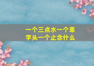 一个三点水一个草字头一个止念什么