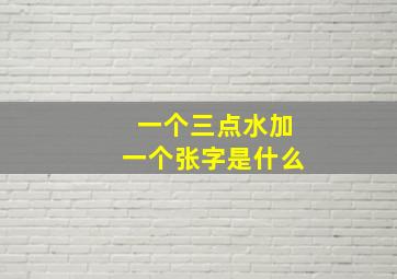 一个三点水加一个张字是什么