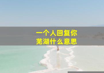 一个人回复你芜湖什么意思