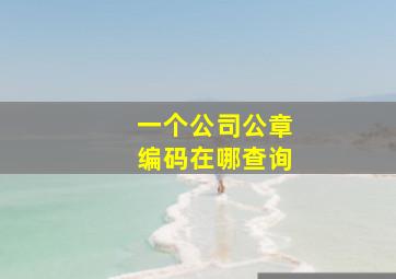 一个公司公章编码在哪查询