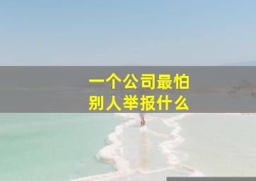 一个公司最怕别人举报什么