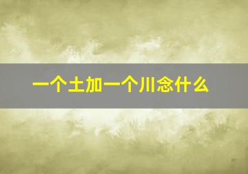 一个土加一个川念什么