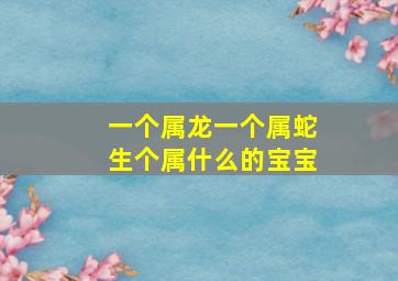 一个属龙一个属蛇生个属什么的宝宝