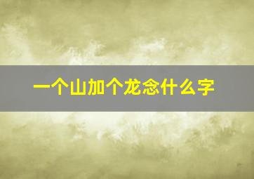 一个山加个龙念什么字