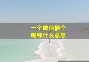 一个微信俩个昵称什么意思