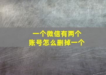 一个微信有两个账号怎么删掉一个