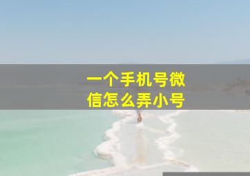 一个手机号微信怎么弄小号