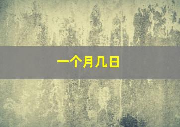 一个月几日