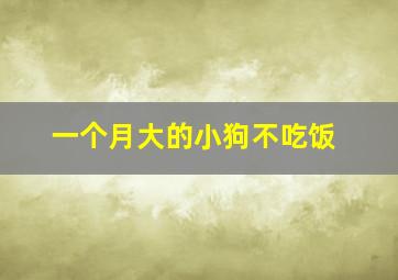 一个月大的小狗不吃饭