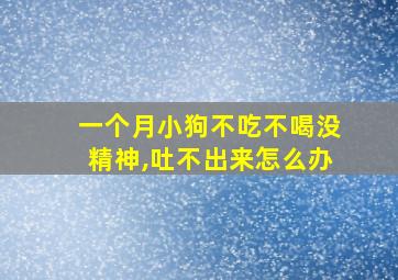 一个月小狗不吃不喝没精神,吐不出来怎么办