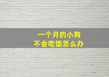 一个月的小狗不会吃饭怎么办