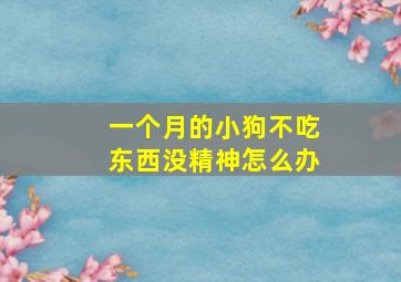 一个月的小狗不吃东西没精神怎么办