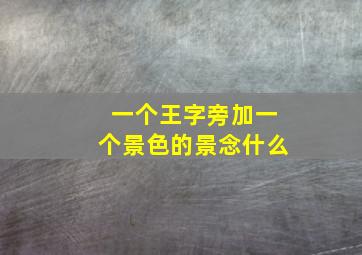 一个王字旁加一个景色的景念什么