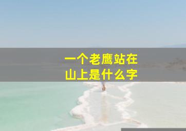 一个老鹰站在山上是什么字