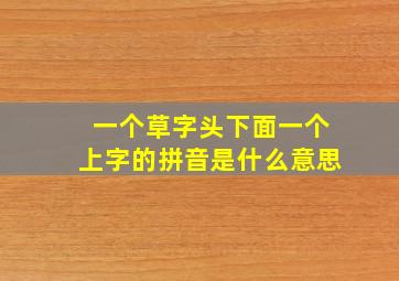 一个草字头下面一个上字的拼音是什么意思