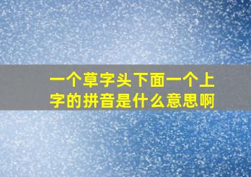 一个草字头下面一个上字的拼音是什么意思啊