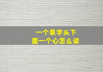 一个草字头下面一个心怎么读