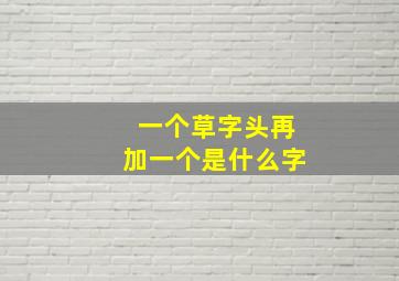 一个草字头再加一个是什么字