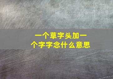 一个草字头加一个字字念什么意思