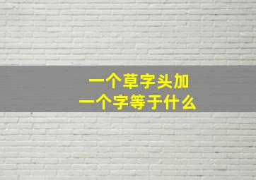 一个草字头加一个字等于什么