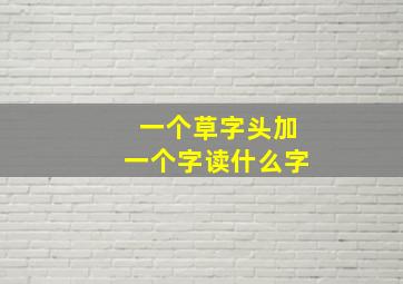 一个草字头加一个字读什么字