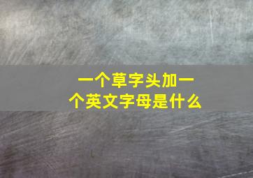 一个草字头加一个英文字母是什么