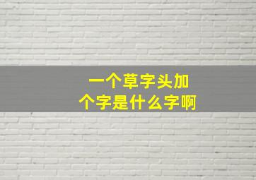 一个草字头加个字是什么字啊