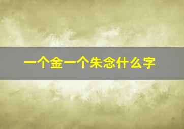 一个金一个朱念什么字