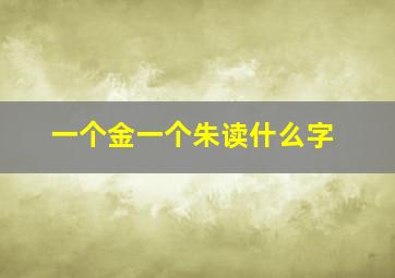 一个金一个朱读什么字