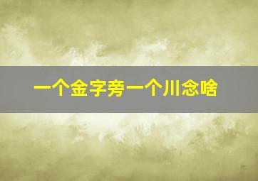 一个金字旁一个川念啥