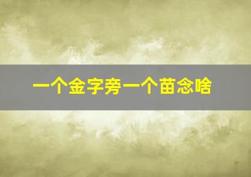 一个金字旁一个苗念啥