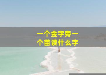 一个金字旁一个苗读什么字