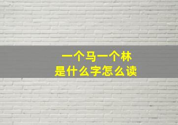 一个马一个林是什么字怎么读